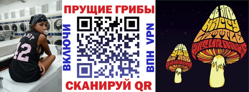как найти закладки  Уржум  Псилоцибиновые грибы GOLDEN TEACHER 
